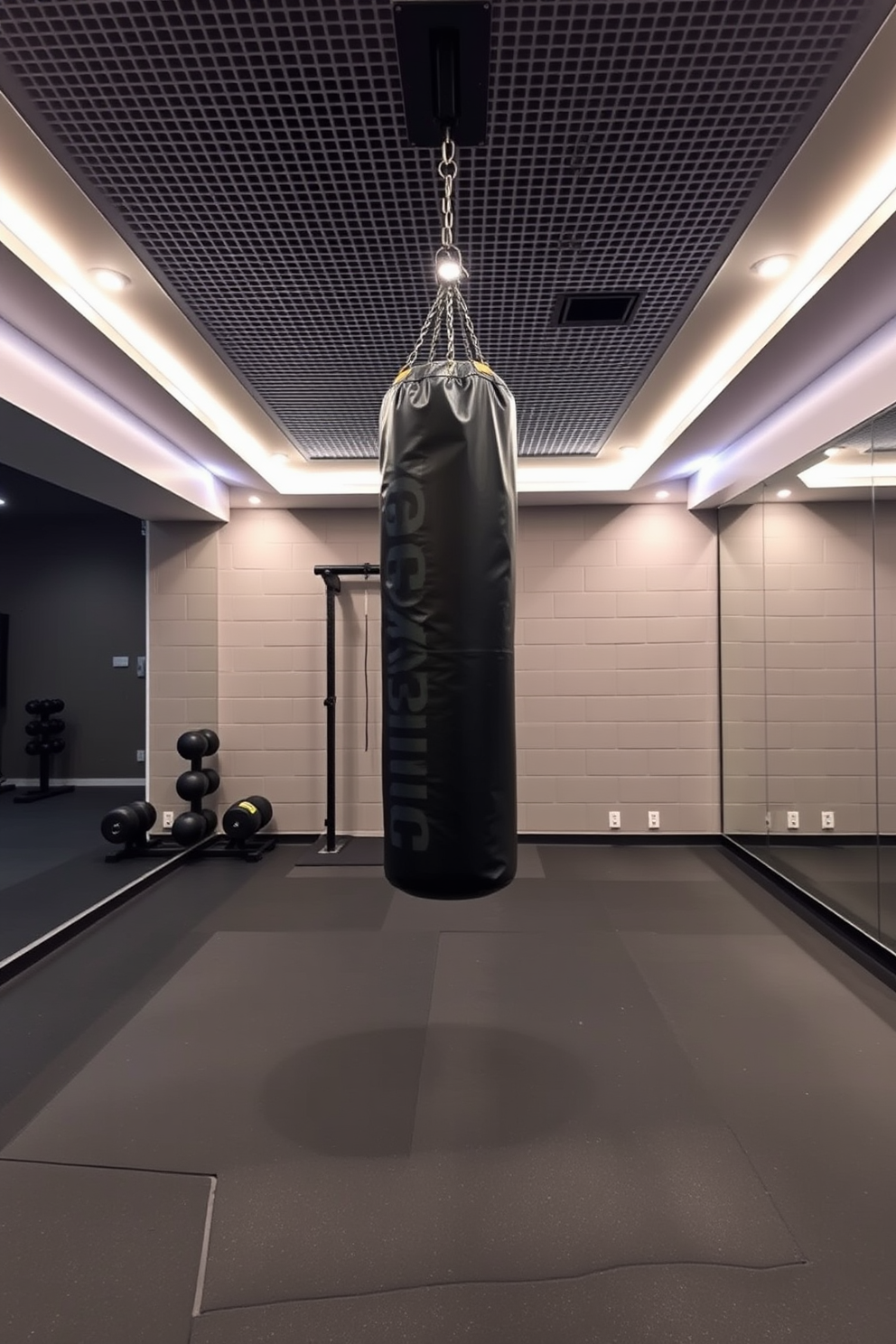 Basement Gym Design Ideas 21