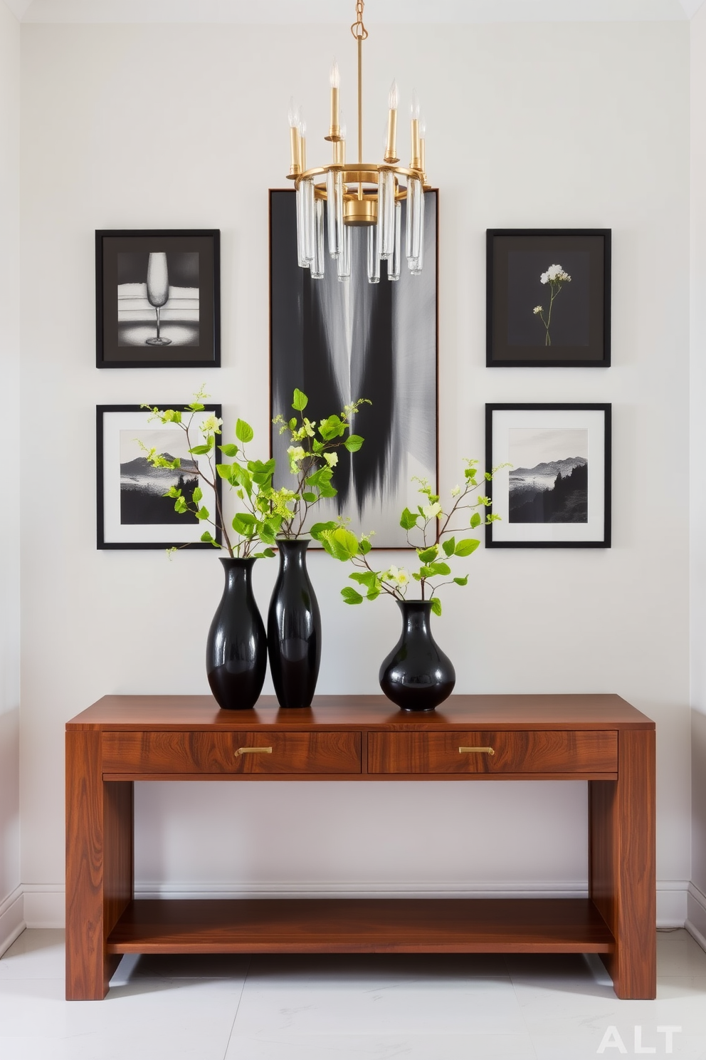 Black Foyer Design Ideas 13