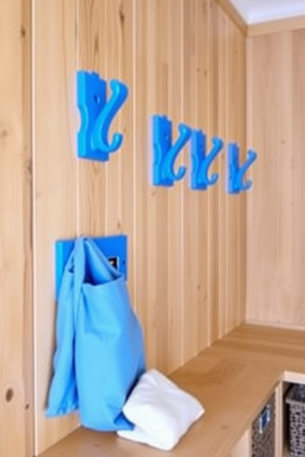 Blue Mudroom Design Ideas 14