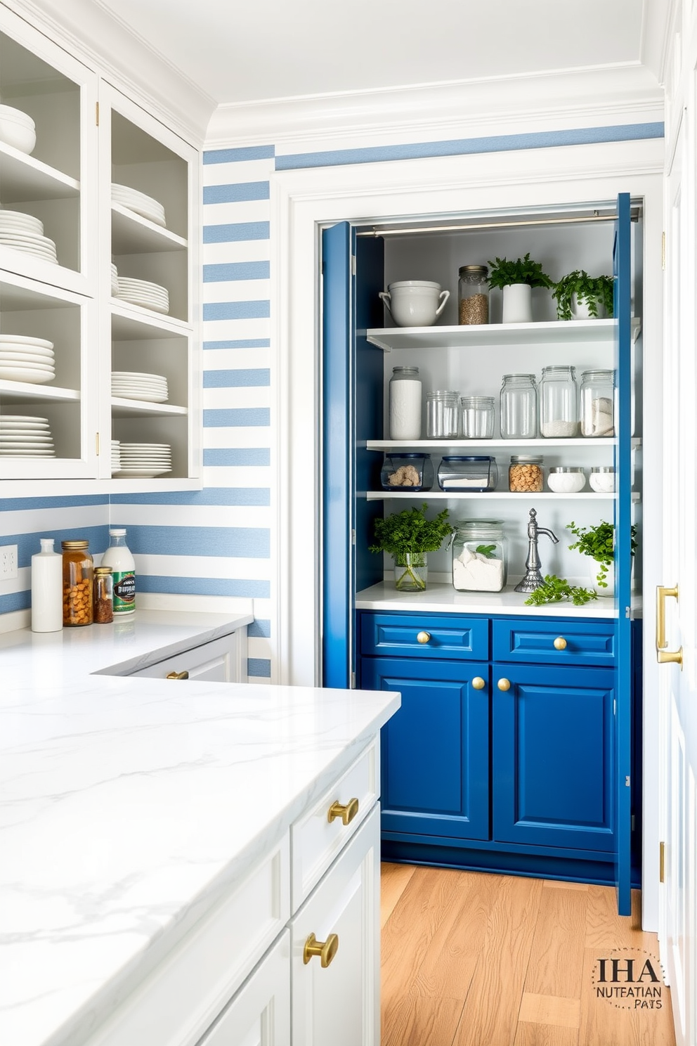 Blue Pantry Design Ideas 10