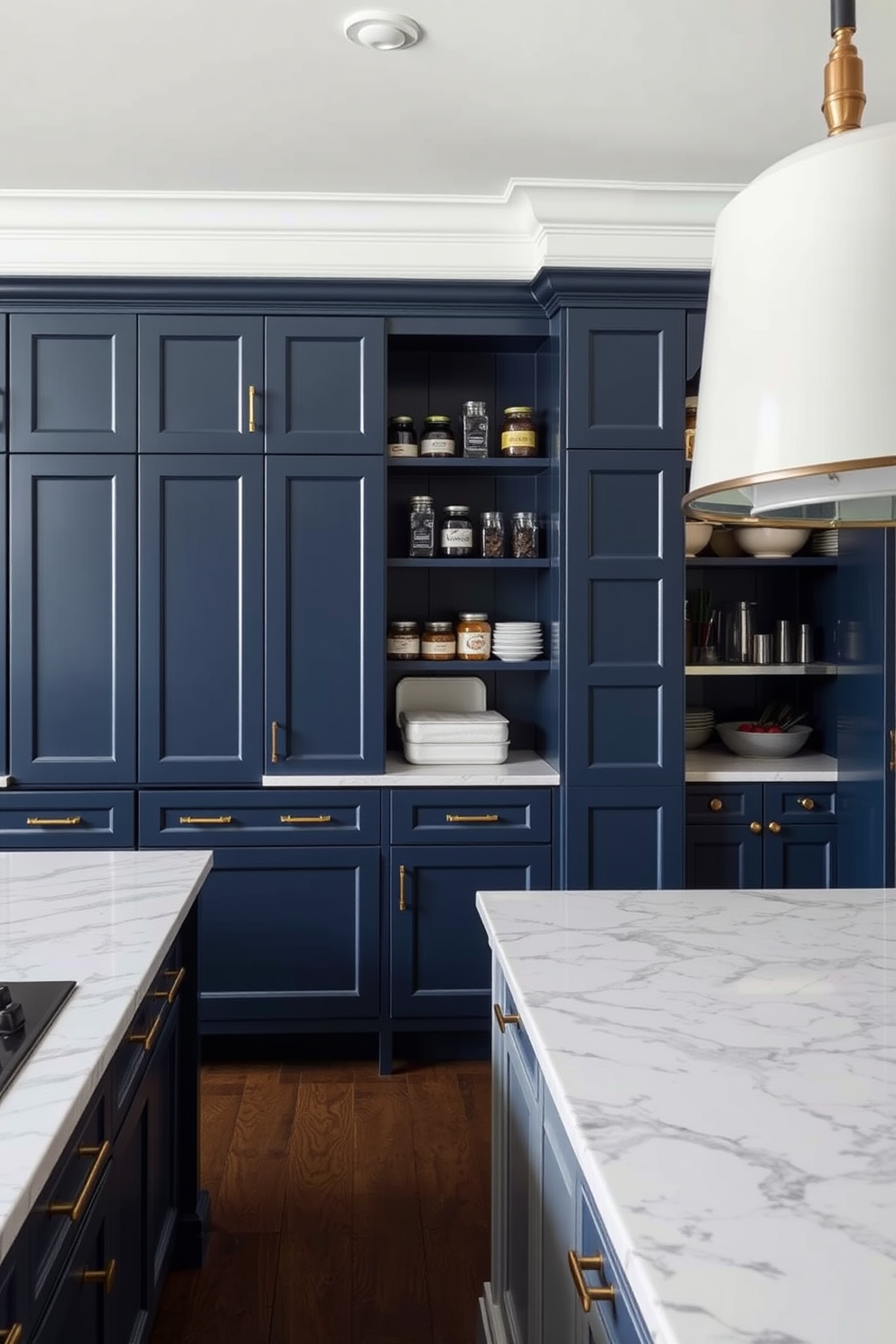 Blue Pantry Design Ideas 6