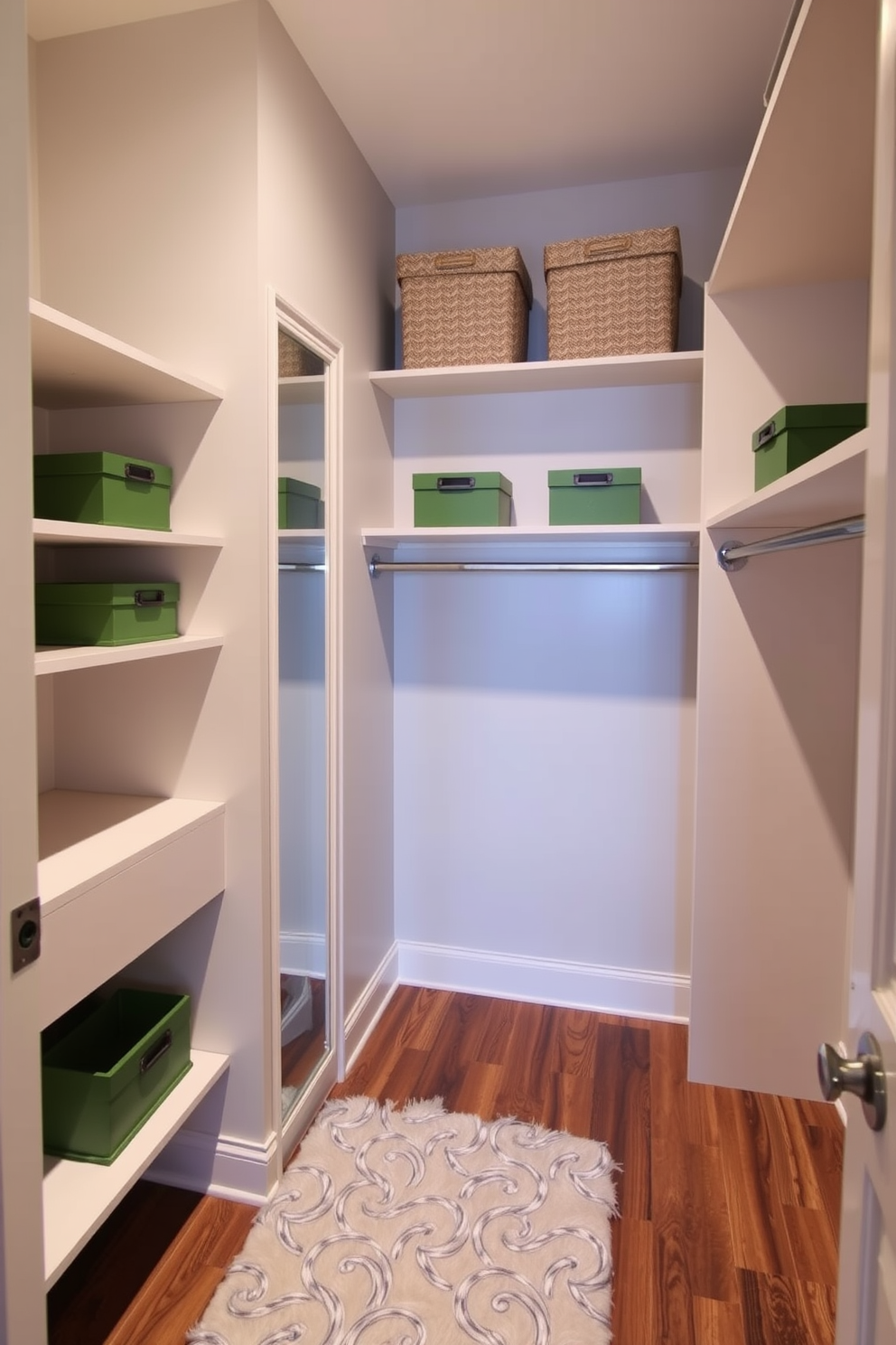 Green Walk In Closet Design Ideas 9