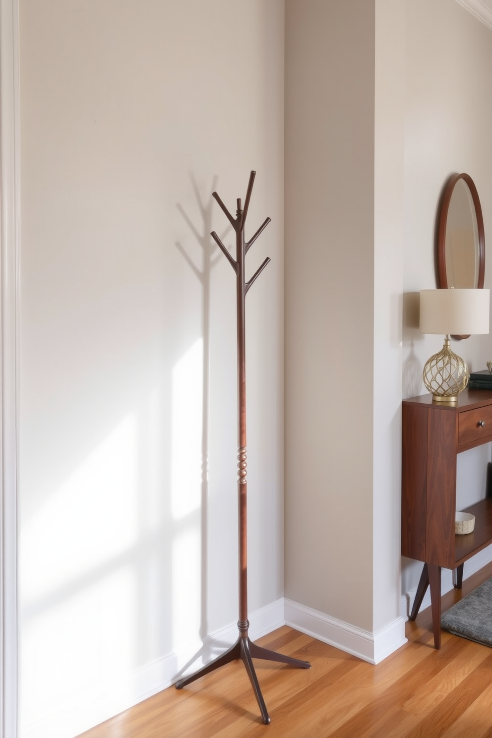 Mid Century Modern Foyer Design Ideas 3