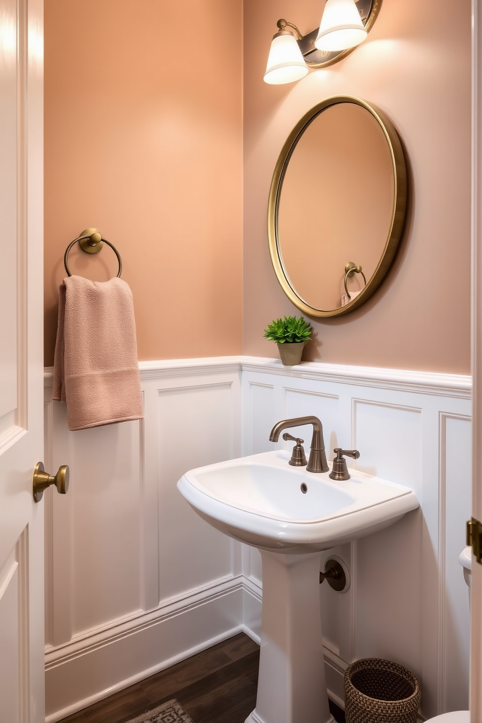 Powder Room Paint Color Design Ideas 18